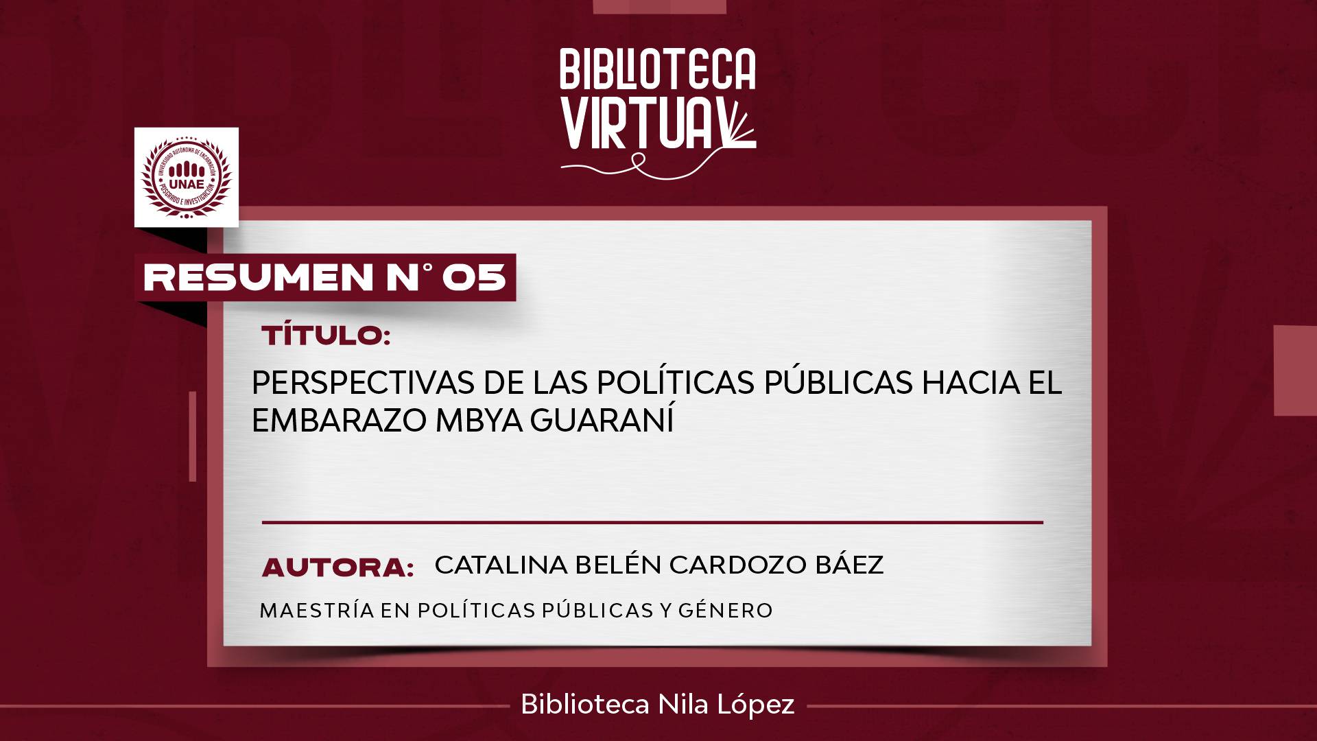 N° 5. PERSPECTIVAS DE LAS POLÍTICAS PÚBLICAS HACIA EL EMBARAZO MBYA GUARANÍ