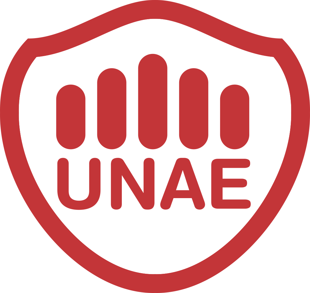 Estandares-de-diseo-de-la-UNAE---Logo-1.png