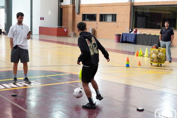 dsc07743-copiar7982003D-D6D9-462B-0DAA-9141BDBB5134.jpg