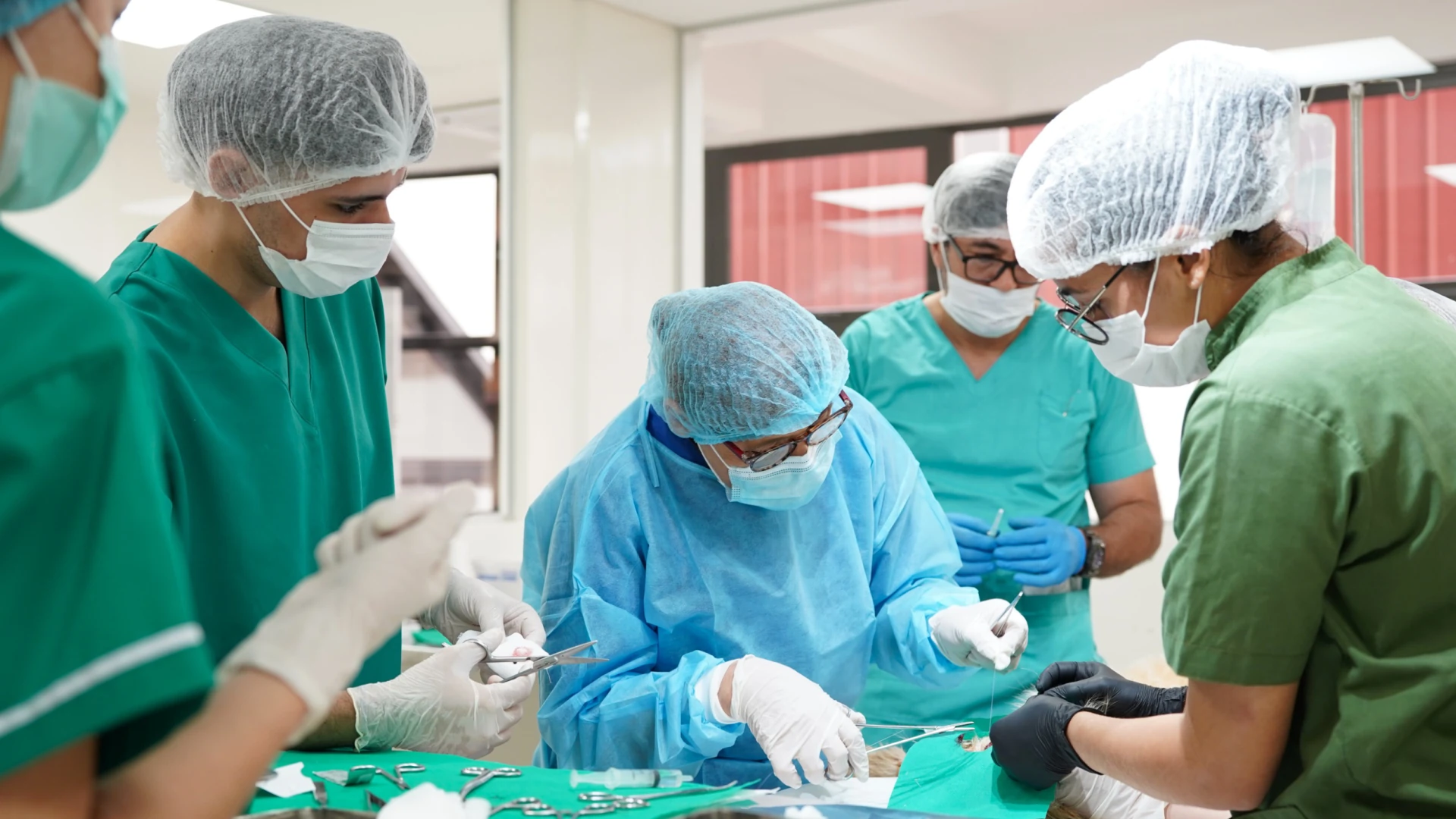 Estudiantes de Veterinaria fortalecen sus competencias en prácticas clínico-quirúrgicas