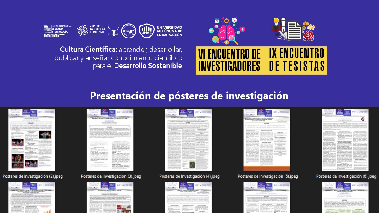 Encuentro de investigadores y tesistas informe 2020 02