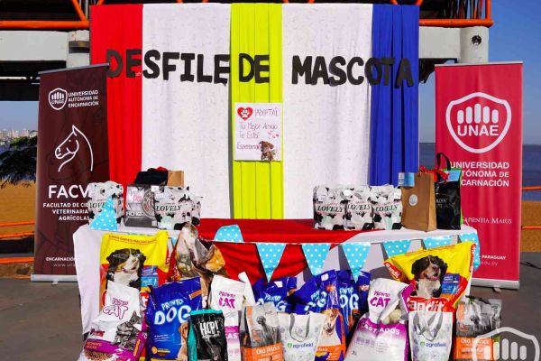 desfile-de-perros-10DE4C34C-11C0-D8DF-01B6-5ED72C08B4C0.jpg