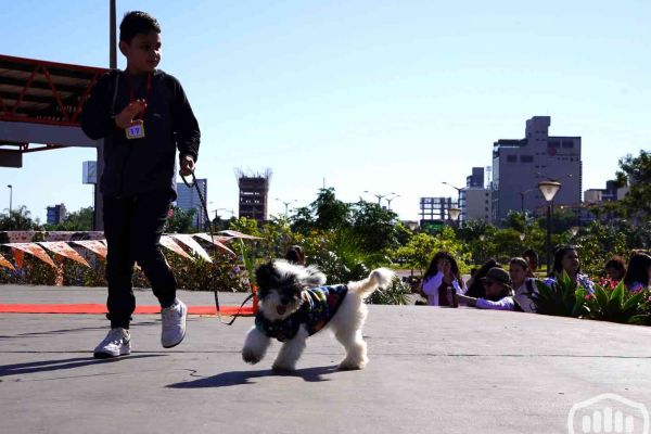 desfile-de-perros-133BBD22E25-E162-1F32-8940-848F09021024.jpg