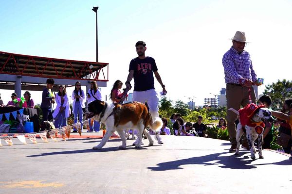 desfile-de-perros-14063D95DC5-7FBA-03E8-D59E-322B6A131EB2.jpg