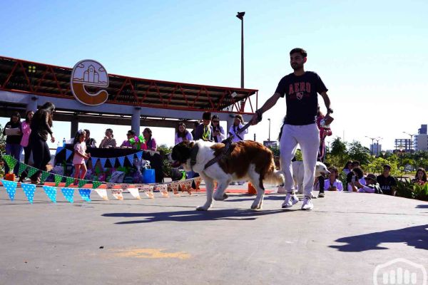 desfile-de-perros-1416791E9FD-2FEC-7628-BB35-D6DAF750B0F9.jpg