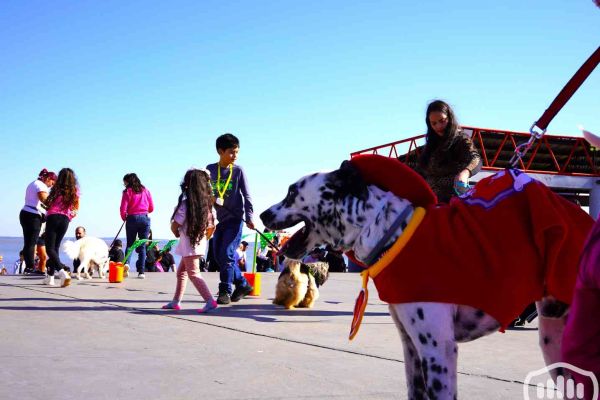 desfile-de-perros-144E5FFDC21-C8DB-FE06-434C-6A3A61C12FF8.jpg