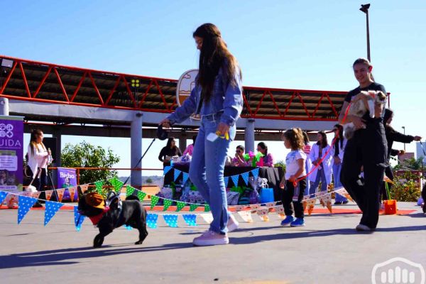desfile-de-perros-146880E858D-51BC-A6D6-18C6-5416B6F137E1.jpg