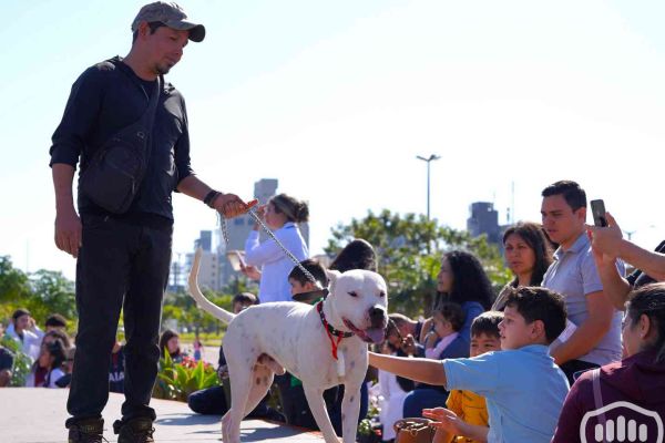 desfile-de-perros-147C3FDA296-0D5E-D16E-8A8A-2E57D371BB66.jpg