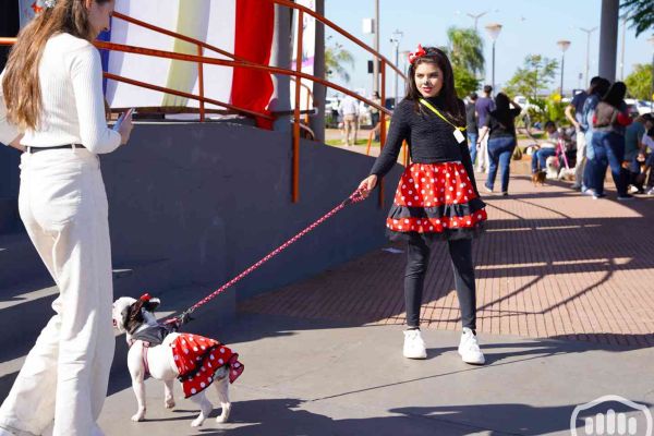 desfile-de-perros-151C49D41E4-BFCC-10C3-B6C4-8F7938E2F8DC.jpg
