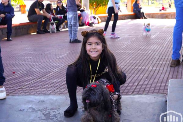 desfile-de-perros-1575879388E-94A8-8F87-97AF-0FE11909FCAF.jpg