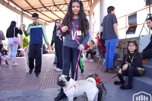 desfile-de-perros-1596FDB0934-8787-27FE-79BA-67185BE88A6E.jpg