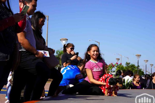 desfile-de-perros-171D35EDA61-CD61-4D2E-F263-E18A26CA2F6B.jpg