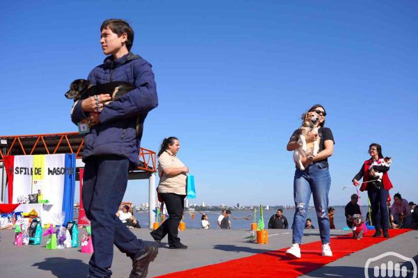 desfile-de-perros-1747B0DE723-1620-99B9-4EE4-A6C3AFBC1E20.jpg