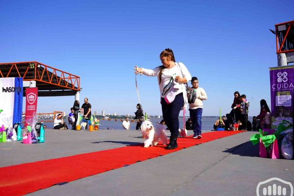 desfile-de-perros-181825C4482-486C-8007-1079-CCEE2FD589AA.jpg