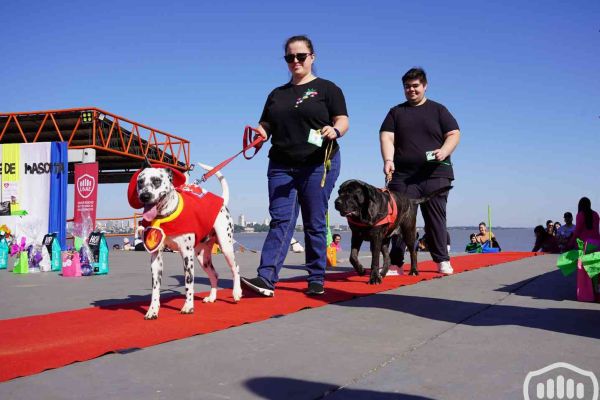 desfile-de-perros-18819D83E35-0E30-33C2-3938-90E72258DB91.jpg