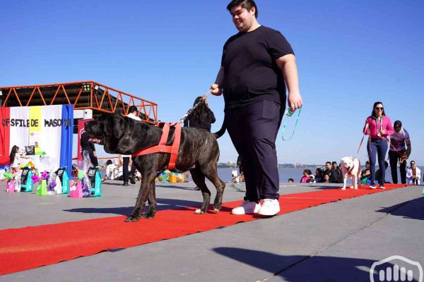 desfile-de-perros-18981F1B464-B979-3DB5-7A13-D7CCD1AE605D.jpg