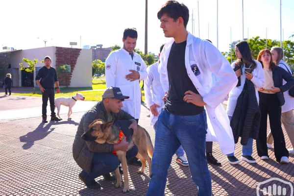 desfile-de-perros-41E353A241-DBE2-79A4-9608-97773146BF76.jpg