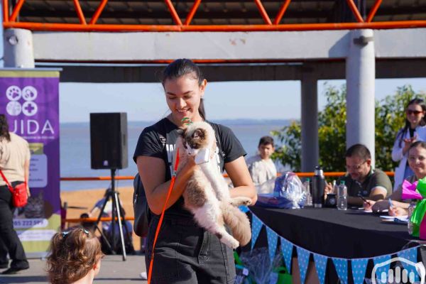 desfile-de-perros-5909275B15-C92E-C41B-A436-A352EA3263E0.jpg