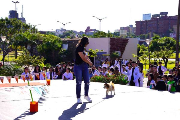 desfile-de-perros-65314B3E85-4119-88DA-4B39-6D9E62B21FF3.jpg