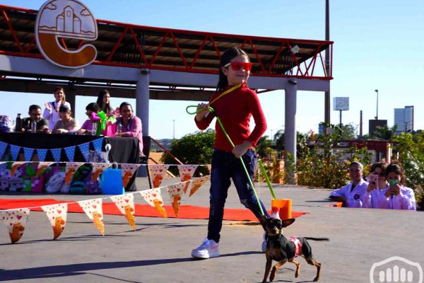 desfile-de-perros-72516B2047-3919-5F5E-A3CD-5FCE7FBD1B8F.jpg