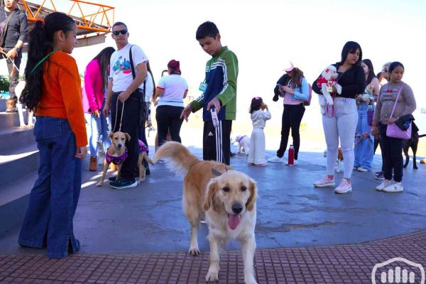 desfile-de-perros-79EE7F2F61-6C80-DDF2-2635-6215F4005843.jpg