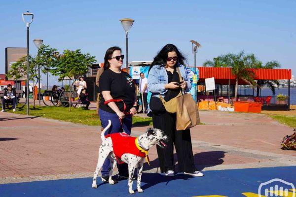 desfile-de-perros-7B244E557-87E3-5447-DD0F-62DA5F95A875.jpg