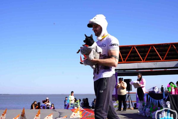 desfile-de-perros-89129EF01D-1DE5-7061-6650-8470E11392D4.jpg