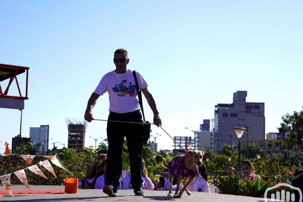 desfile-de-perros-94B924C5AF-5186-8ACD-C639-5C3AAD21249F.jpg