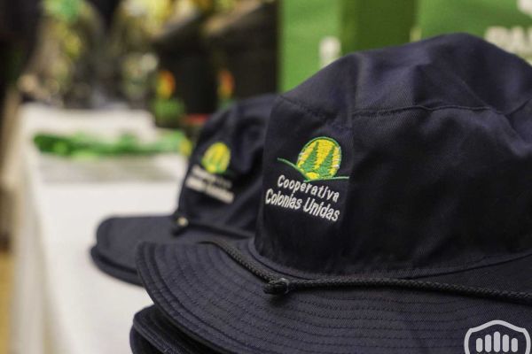 cooperativismo-colonias-unidas-6F73F2B4B-6F6B-4721-5E8C-DB58301C047F.jpg
