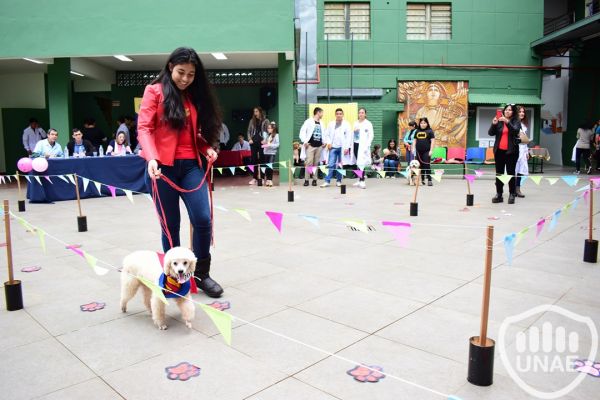 desfile-canino-facsa-unae-2019-205FC50F38-8029-7B10-7342-7EDDCBC43601.jpg