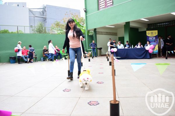 desfile-canino-facsa-unae-2019-253EDAA1B9-BB0A-53E4-7AF1-37E5FE474214.jpg