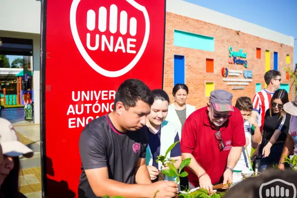 unae-verde-6B68E10BD-57DC-C2A0-A320-A8FE12A453EE.webp
