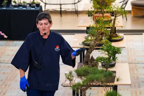 bonsai-11BA1690C5-F0AD-D7DC-CD82-8B682472714F.webp