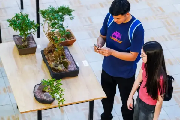 bonsai-2FCC4AE3C-DA64-BF8B-15B8-F11DFB8F2ECD.webp