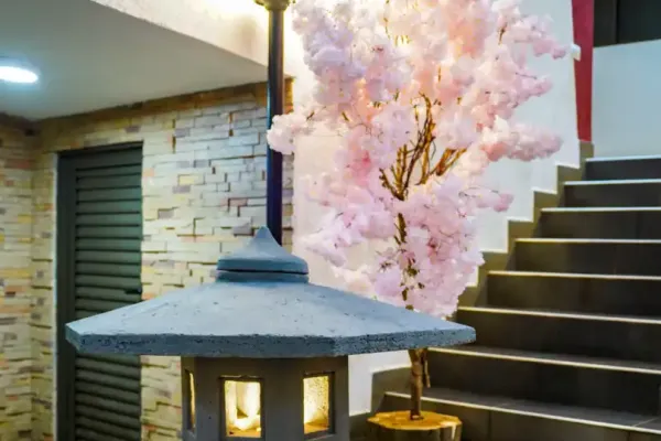 bonsai-882142D99-6B50-EEBF-196B-48E2F77F9D31.webp