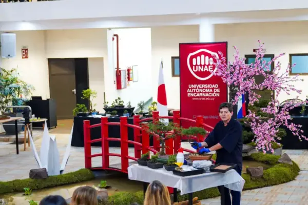 bonsai-9F3C19C2C-DFD8-B564-482F-21DBB889A045.webp