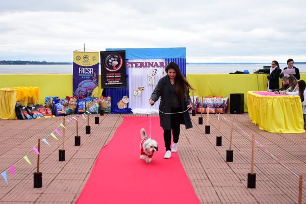 semana-del-veterinario-desfile-03925420C8-3C72-1759-C7B7-32C1A15DAFCD.jpg