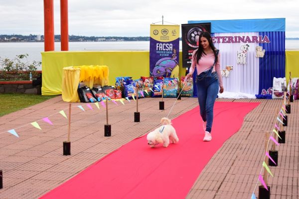 semana-del-veterinario-desfile-07735B9CB9-D8EC-1114-1C1A-E64D0D4C4130.jpg