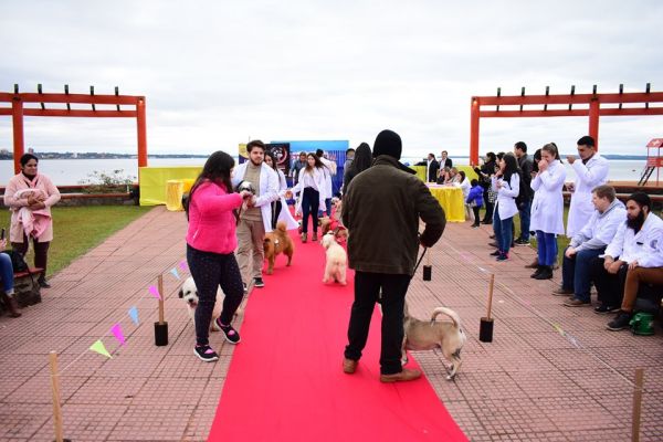 semana-del-veterinario-desfile-15B024B943-5D13-4A87-3F81-63204312B336.jpg