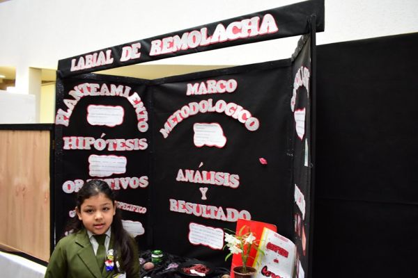 iii-feria-cientifica-2019-colegio-divina-esperanza-15856A1C85-2A01-77EA-747A-A4EECECA030A.jpg