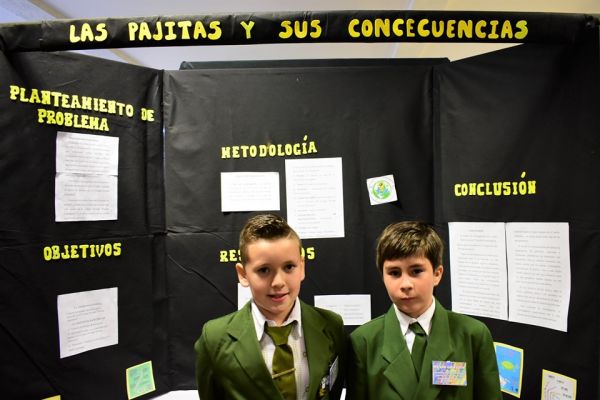 iii-feria-cientifica-2019-colegio-divina-esperanza-311240D1E0-8F34-D749-1B99-DD3D73941D8E.jpg