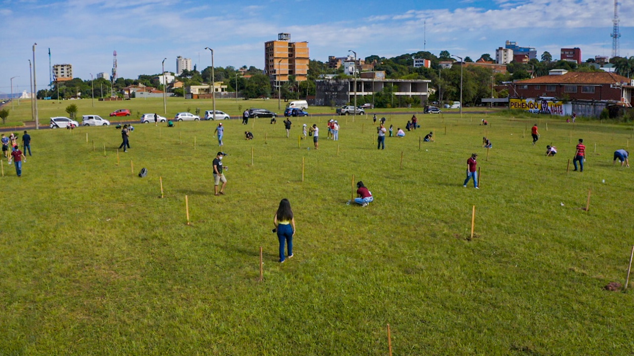 unae verde 2021 plantar futuro hoy 01